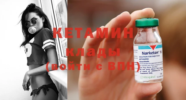 гидра Абаза