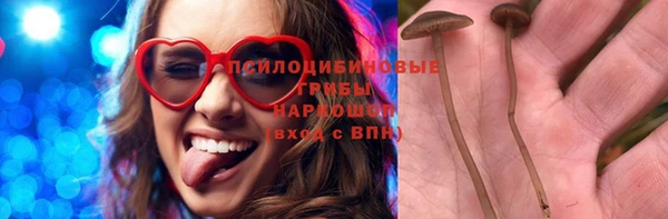 винт Надым