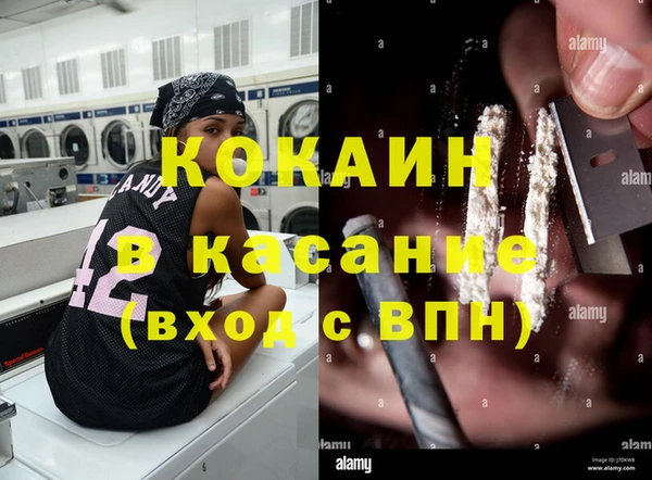 гидра Абаза