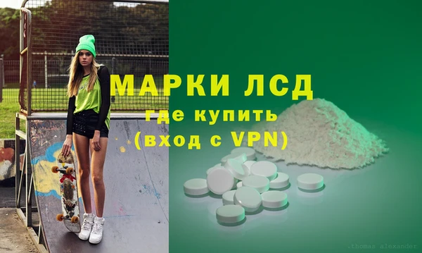 гидра Абаза