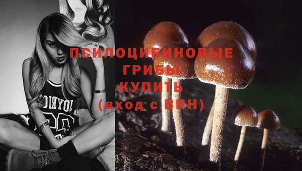 мдпв Абдулино