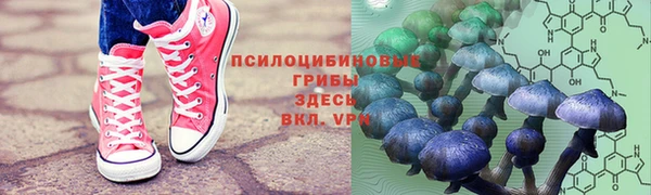 дурь Апатиты